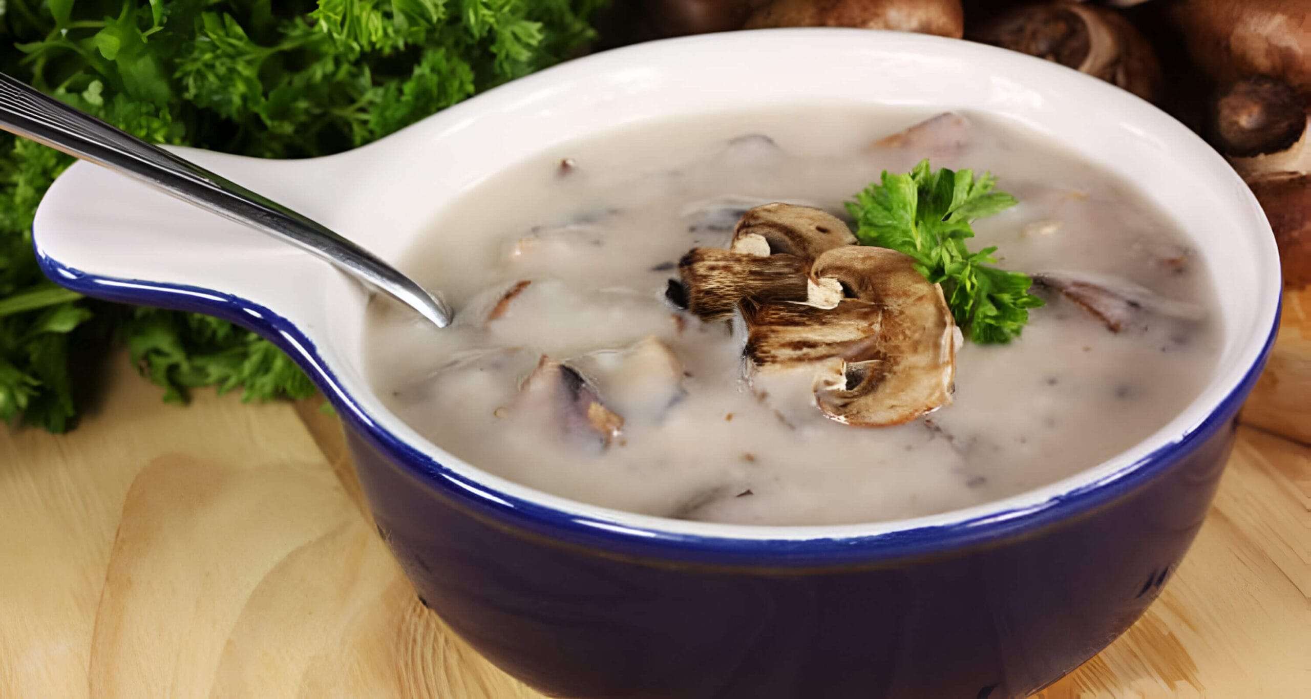 dairy free cream of mushroom soup