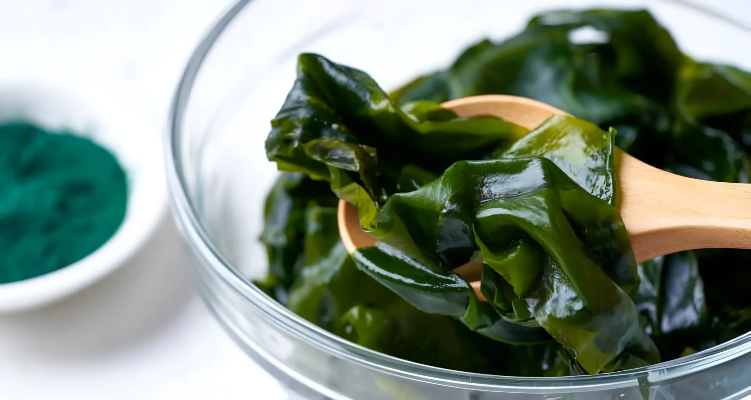 Seaweed Soup: